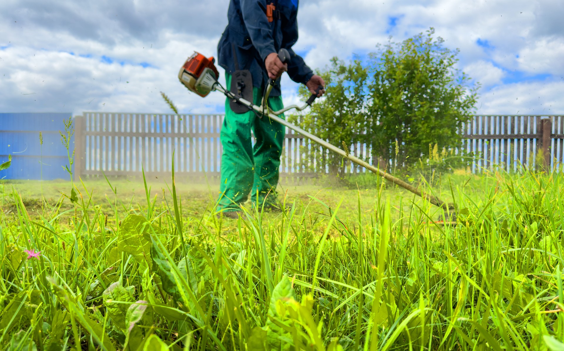 Gardener mows weeds grass. Man cutting grass in yard by using string trimmer.