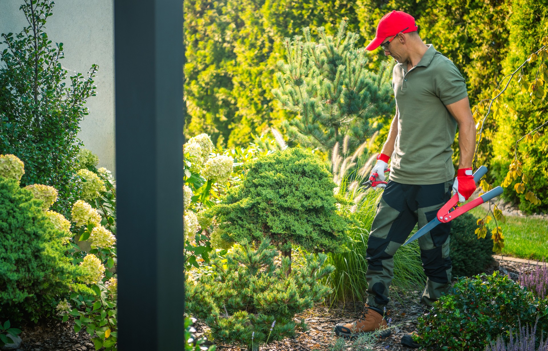 Gardener Tending to Lush Greenery in a Residential Garden on a Sunny Afternoon With Tools in Hand